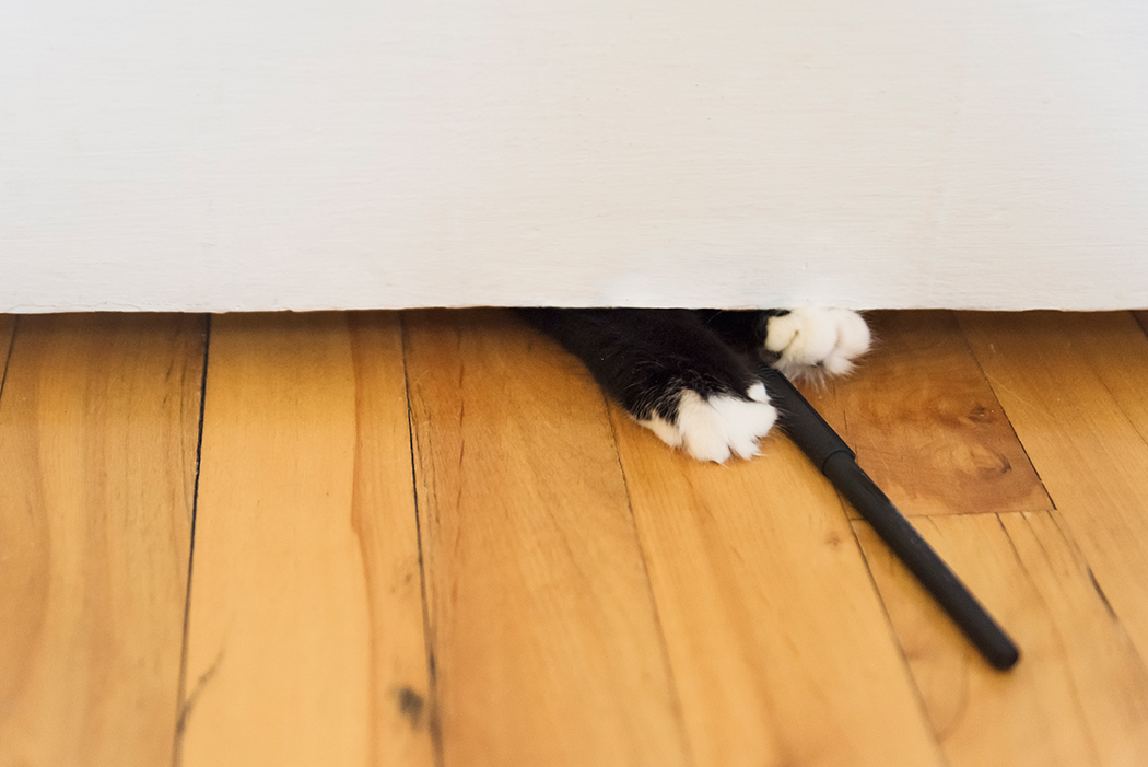 Cat's paw playing with pen under a door